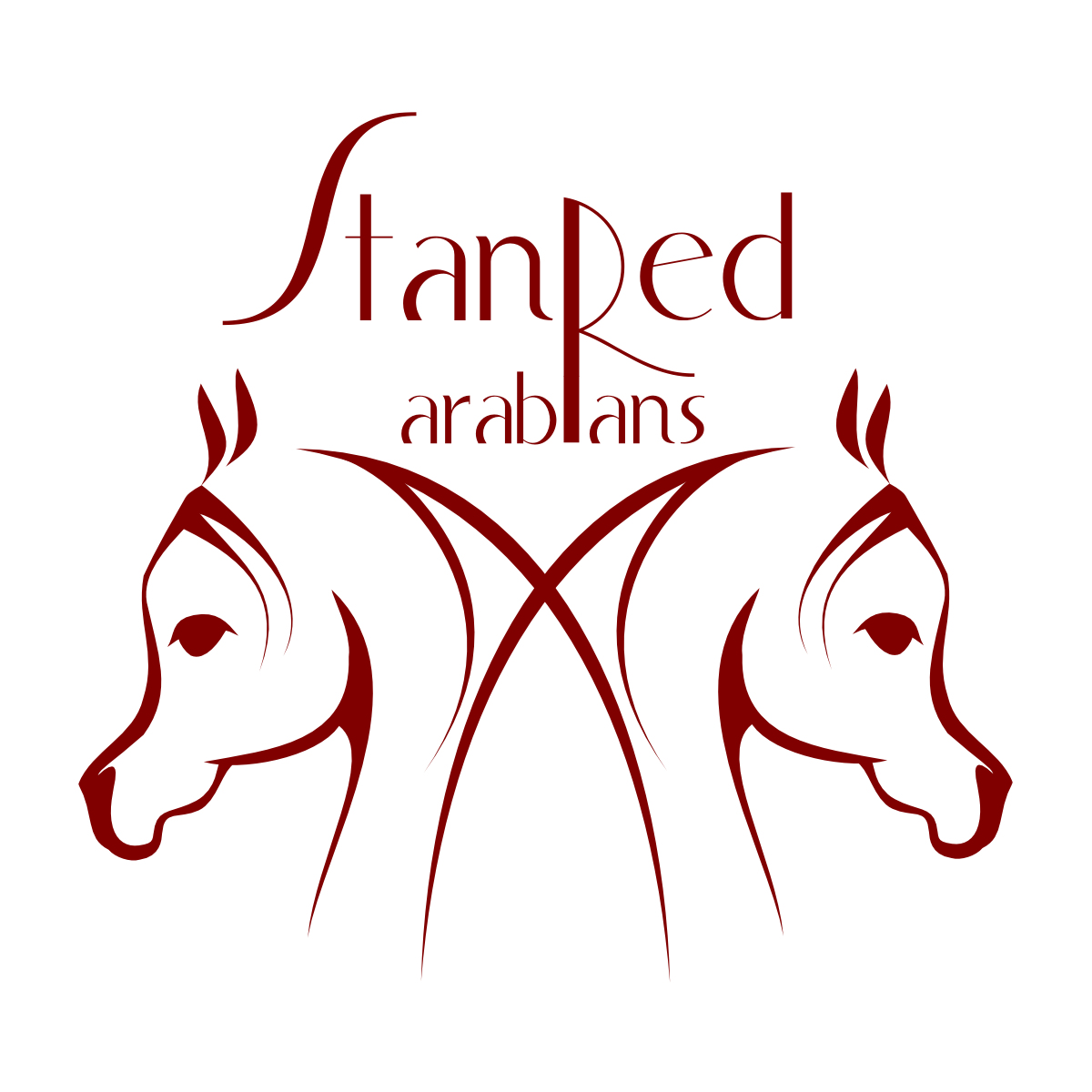 StanRed Arabians